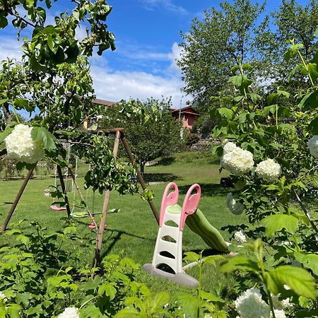 阿罗纳 Bb10 Oasi旅馆 外观 照片