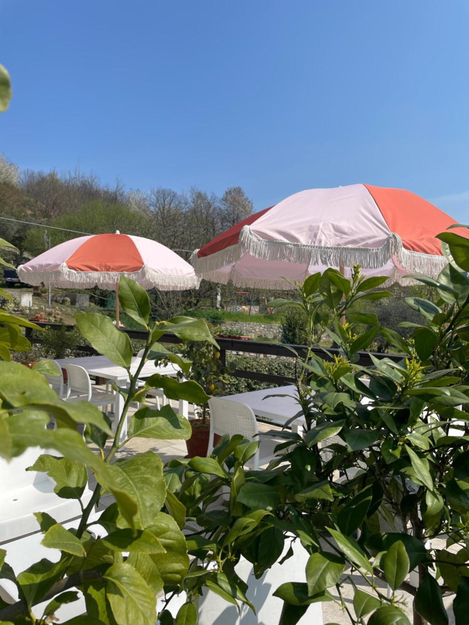 阿罗纳 Bb10 Oasi旅馆 外观 照片