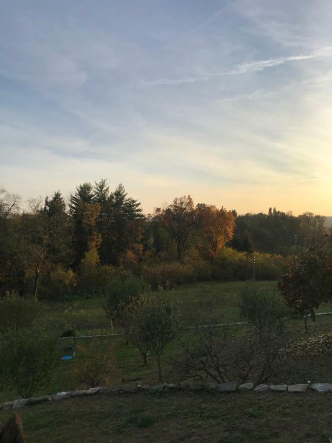 阿罗纳 Bb10 Oasi旅馆 外观 照片